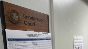 cases heard by immigration judges