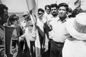 cesar chavez